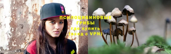 индика Медногорск